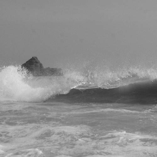 Photo #8763762