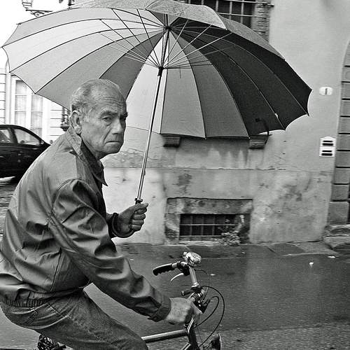 Photo #8763797