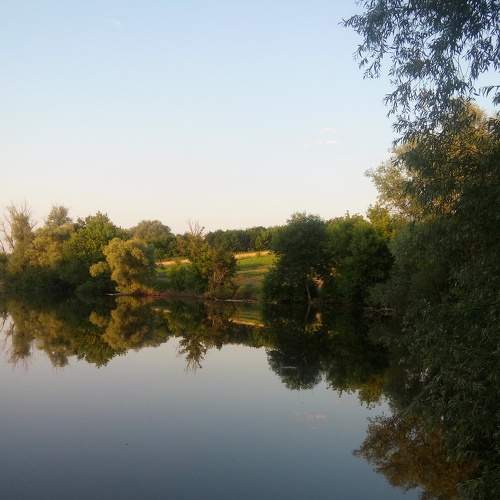 Photo #8763812