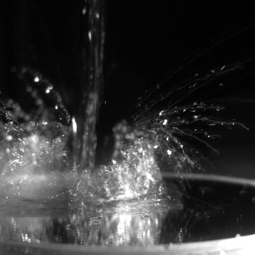 Photo #8764074