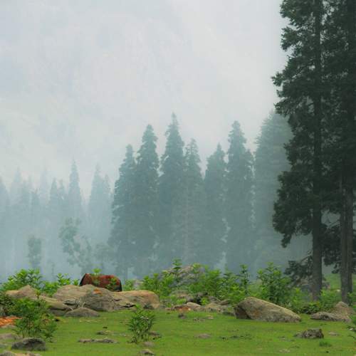 Photo #8764303