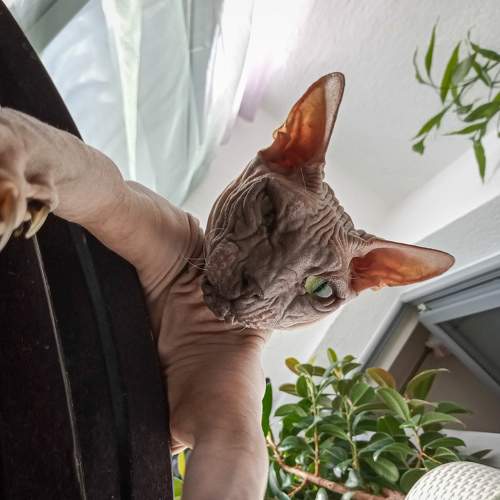 Photo #8764351