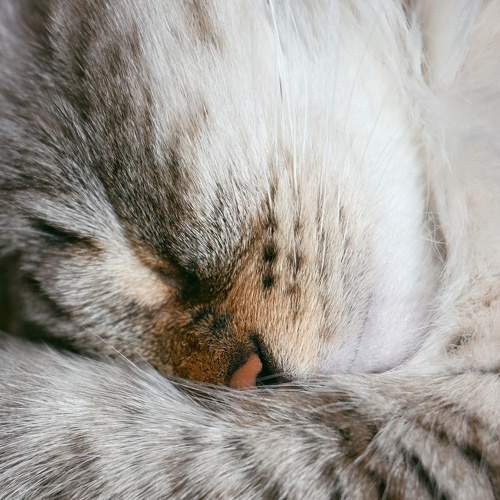 Photo #8764403