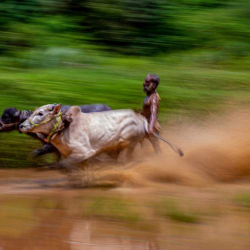 Photo #8764450