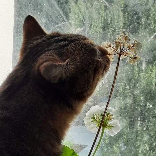 Photo #8764542
