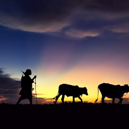 Photo #8764845