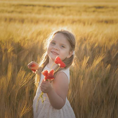 Photo #8764967