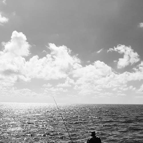 Photo #8765194