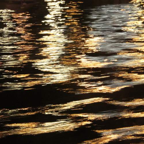 Photo #8765430