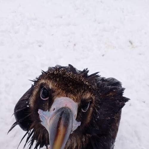 Photo #8765594