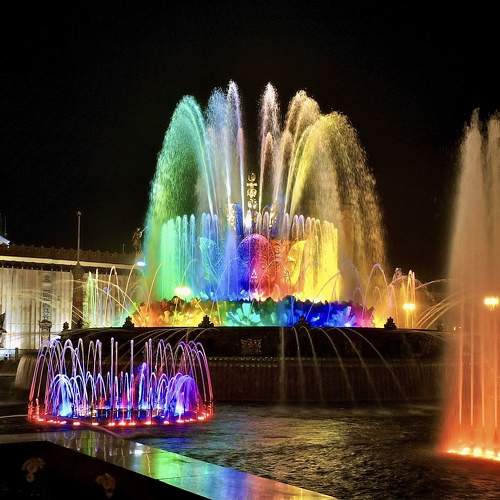 Photo #8765844