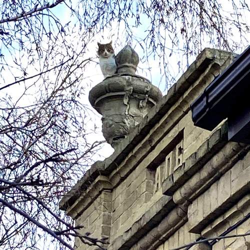 The best decoration of architecture. Лучшее украшение архитектуры.