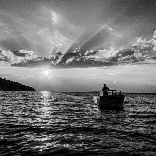 Photo #8766677