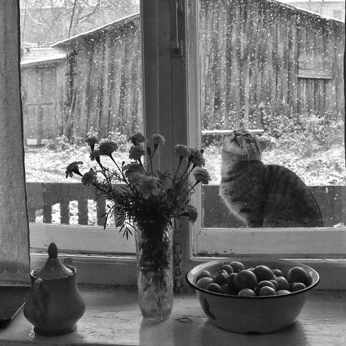 Photo #8766719