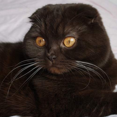 Photo #8766787