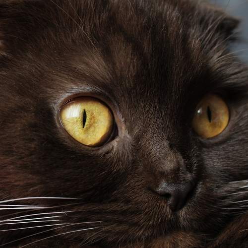 Photo #8766789