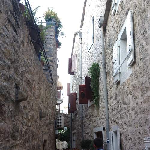 Photo #8767117