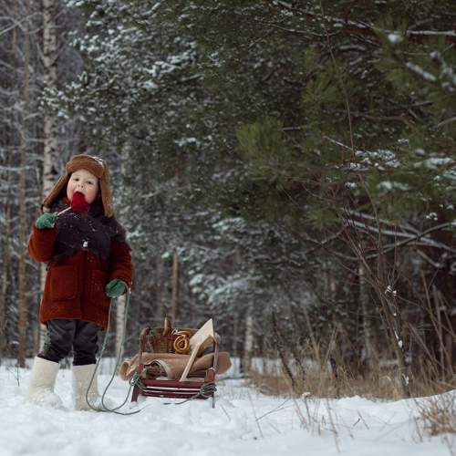 Photo #8767206