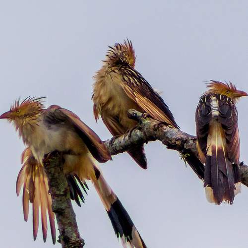 Photo #8767292