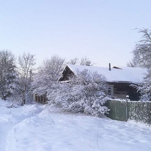 Photo #8768060