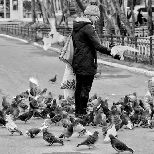 Photo #8768064