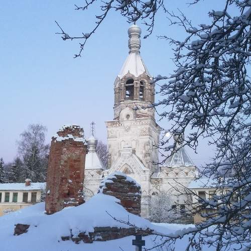 Photo #8768065