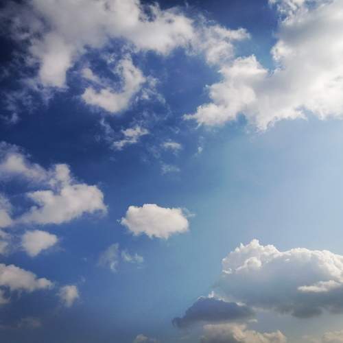 Photo #8768582