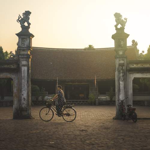 Photo #8768653