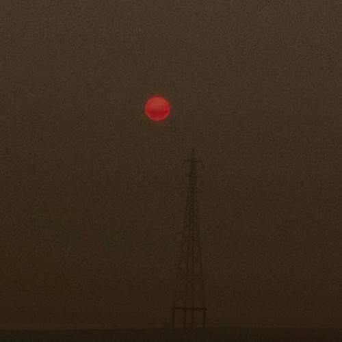 Photo #8768755