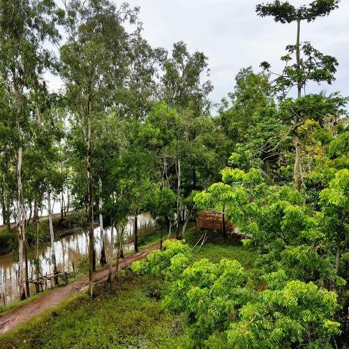 Photo #8768903