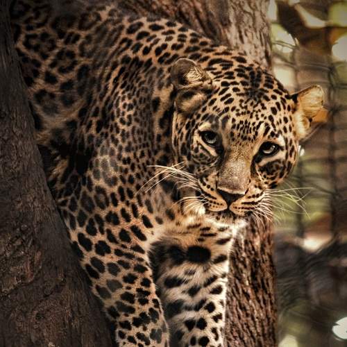 Photo #8768929