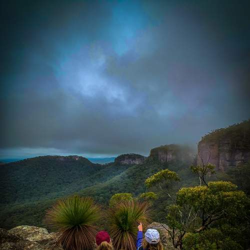 Photo #8769506