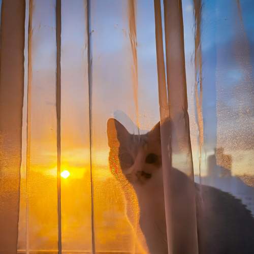 Photo #8769545