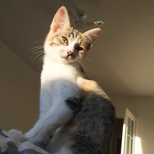 Photo #8769547