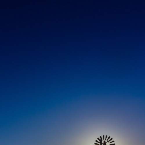 Photo #8769675