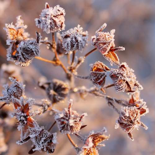 Photo #8770111