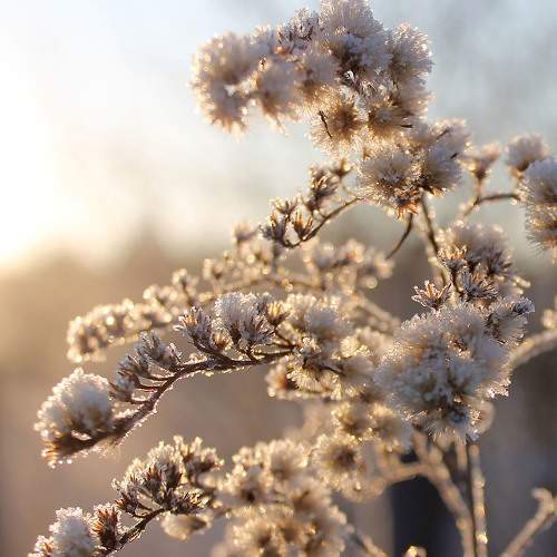 Photo #8770112