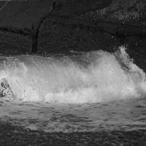 Photo #8770196