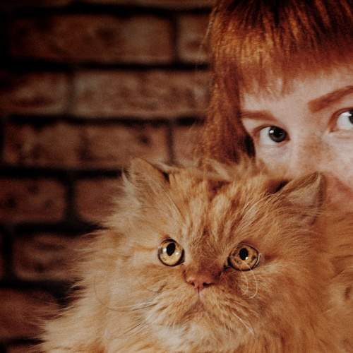 Photo #8770263