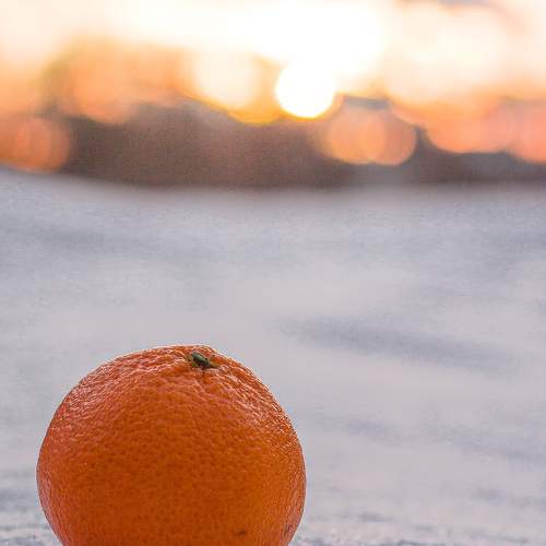 Photo #8770574
