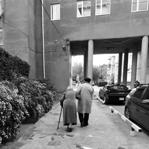 Photo #8770905