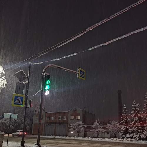 Photo #8770938