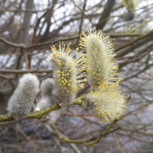 Photo #8771021
