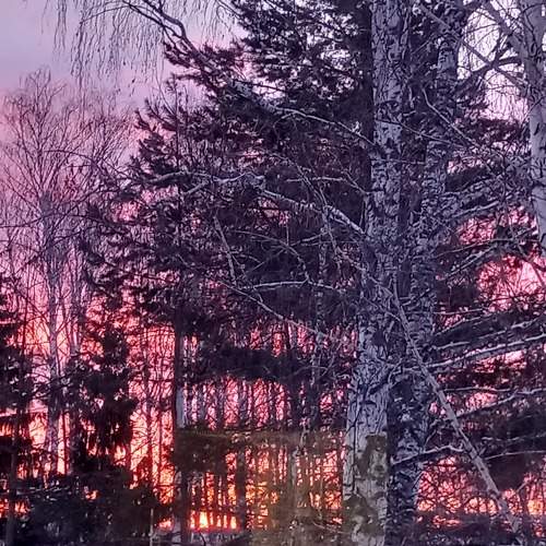 Photo #8771106