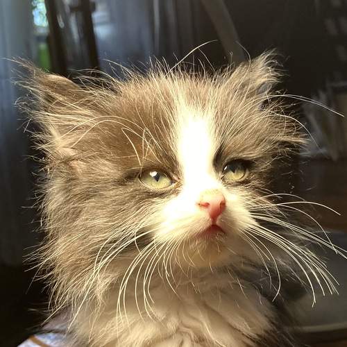 Photo #8771523