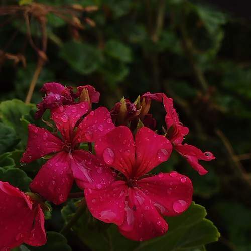 Photo #8771546
