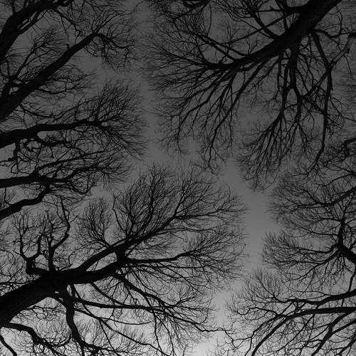 Photo #8771559