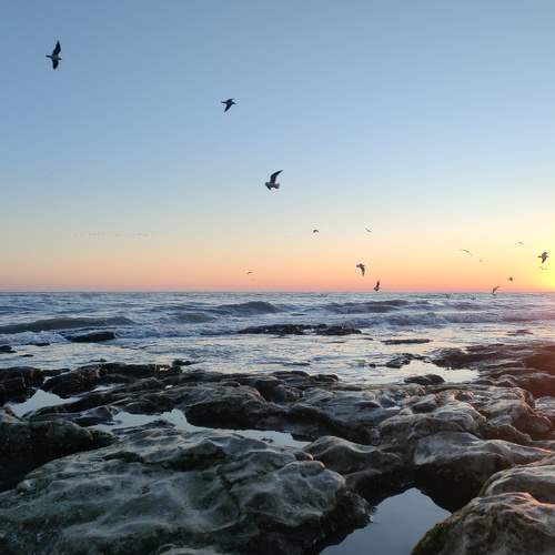 Photo #8771577