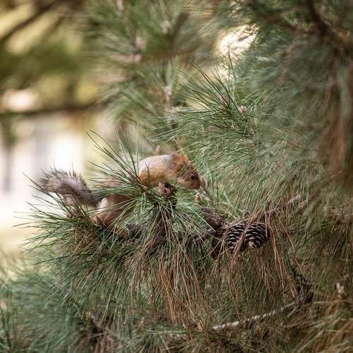 Photo #8771611