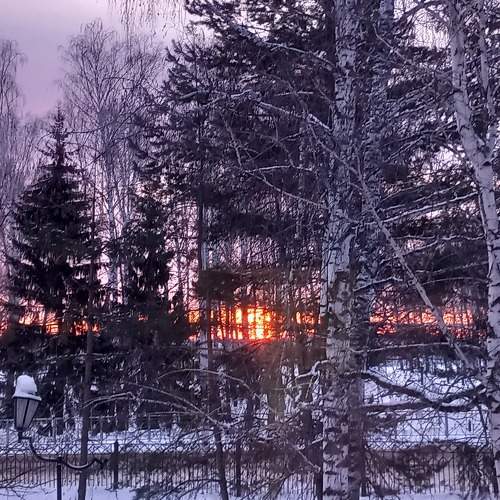 Photo #8771646
